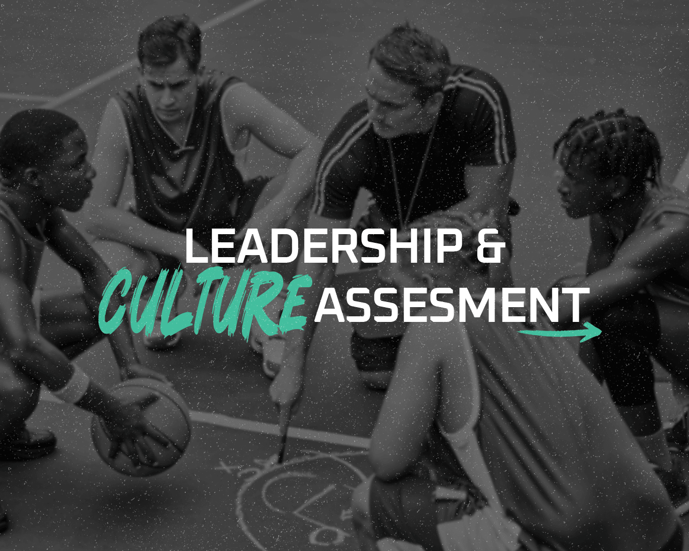 Leadership & Culture Assessment